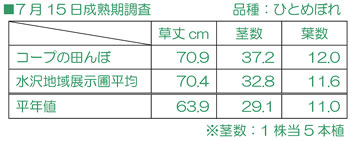 7月15日成熟期調査