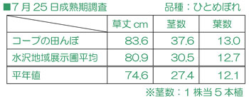 7/25成熟期調査