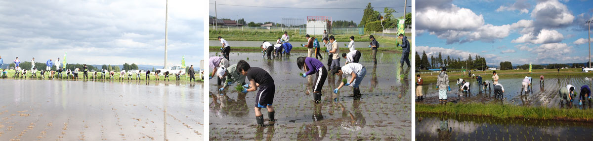 http://www.ucoop.or.jp/shouhin/shoku_shokuryo/sanchi/files/150529tyami3-5.jpg