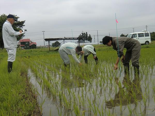 http://www.ucoop.or.jp/shouhin/shoku_shokuryo/sanchi/files/180615_iwate3.jpg