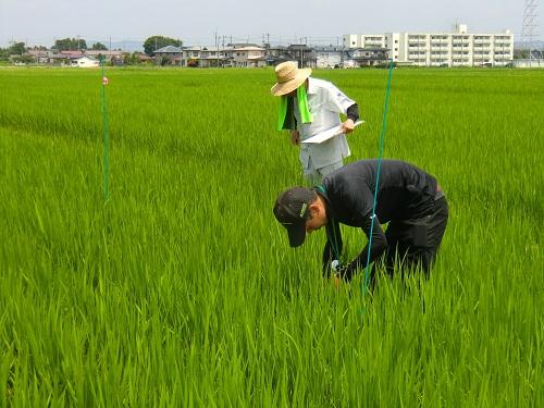 http://www.ucoop.or.jp/shouhin/shoku_shokuryo/sanchi/files/180725_iwate2.jpg