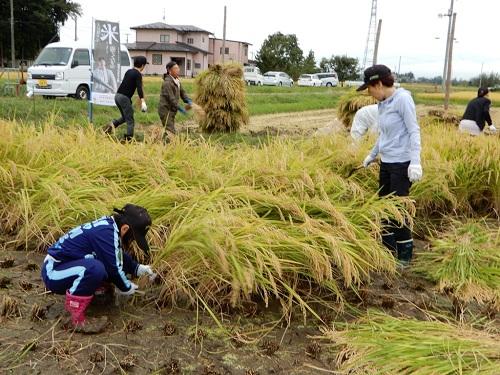 http://www.ucoop.or.jp/shouhin/shoku_shokuryo/sanchi/files/180929_iwate2.jpg