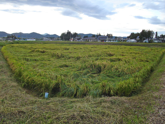 http://www.ucoop.or.jp/shouhin/shoku_shokuryo/sanchi/files/20111003b03.jpg