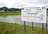 5月18日に植えた苗の様子