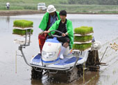 田植え機での田植え