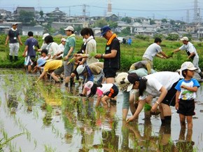 伊勢原米作って食べちゃう会