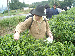 ２０１０年度　コープで体験・学ぶ会