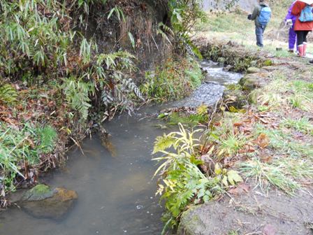 御所谷の湧水