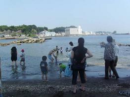 城ヶ島で磯遊び