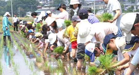 伊勢原米田植え