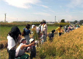 第４回　収穫祭のようす