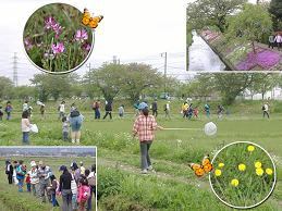 自然観察会の様子