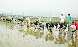 伊勢原米作って食べちゃう会