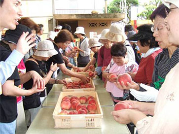 産地交流に参加するリングリングの会のみなさん