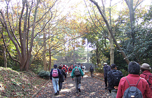 みどりのがっこう　干潟歩きと海鳥観察の様子　野島公園