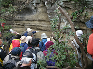 江の島到着。「女性センター」へ行く途中地層が！