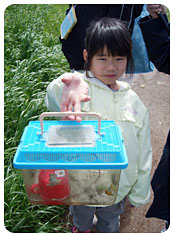 かえるを捕まえた