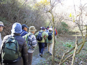 「野鳥と自然観察」の様子