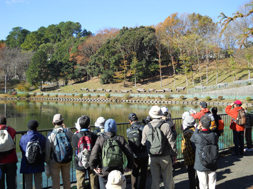 【みどりのがっこう】「野鳥と自然観察」の様子