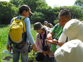 春から初夏の花と生きものさがしの様子