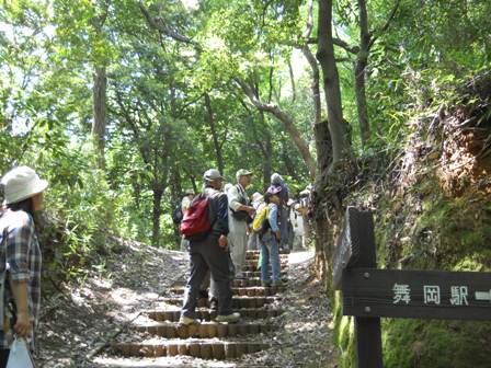 舞岡公園で春から初夏の花と生きものさがし