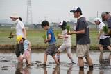「伊勢原米作って食べちゃう会」とは？