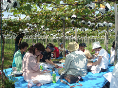 行って、見てみよう～産地・工場見学