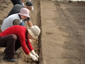 ビニールハウス内での作業はポッカポカ