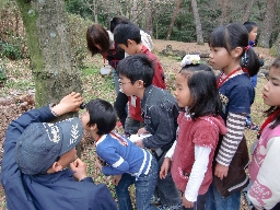 100313haru03.jpg