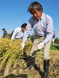 稲刈りを初体験する ユーコープ理事長の丸山　基雄