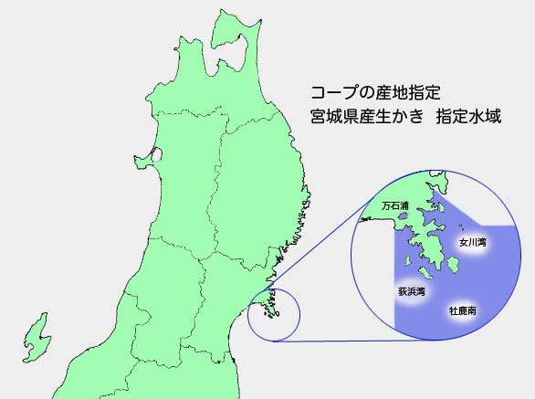 コープの産地指定　宮城県産生かきの採取海域