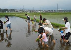 親子で田植えにチャレンジしよう