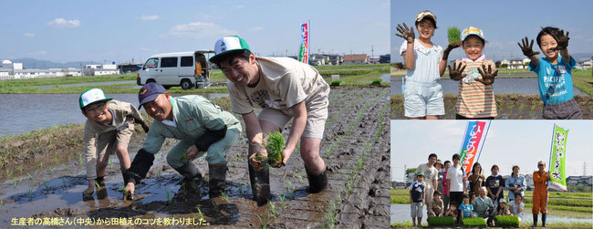 コープの田んぼに親子で田植えをしました