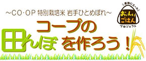 しっかりと実った稲穂。みんなで刈り取りました!!