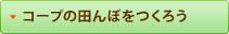 コープの田んぼをつくろう