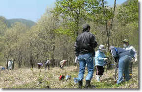 2009年度第1回目となる櫛形山で森づくり