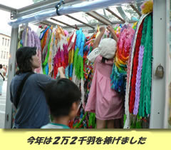 千羽鶴を、平和への祈りとともに広島に届けました
