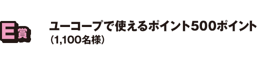 E賞 ユーコープで使えるポイント500ポイント（1,100名様）