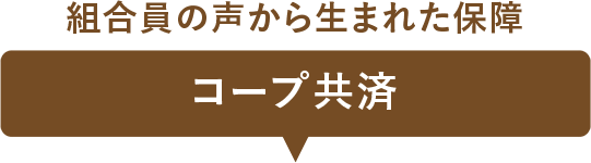 組合員の声から生まれた保障コープ共済