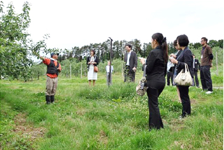 2012年6月 役職員・組合員理事がサンふじの畑を視察