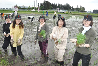 2012年5月 店舗のパート職員が茶美豚の飼料用米を田植え