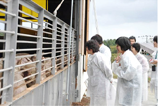 2011年10月 組合員が茶美豚の養豚場を見学