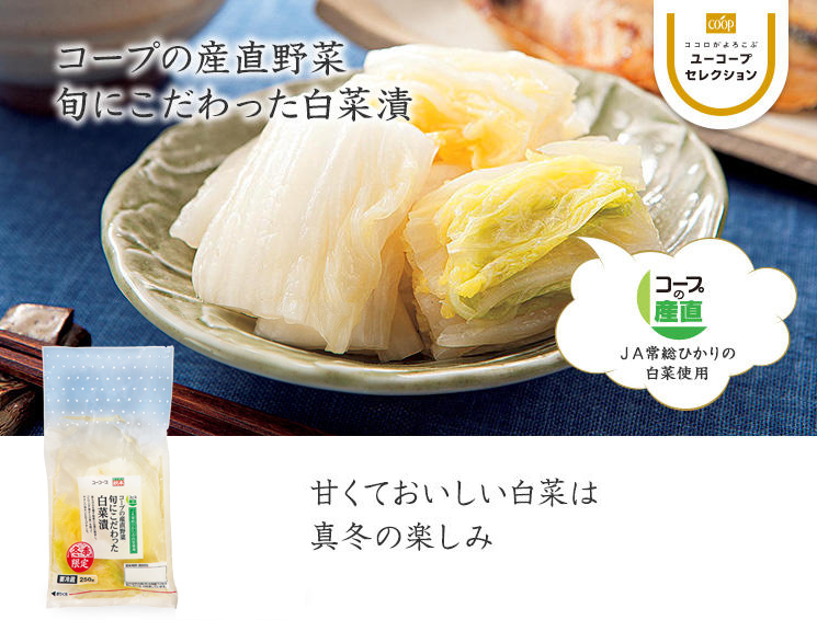 甘くておいしい白菜は真冬の楽しみ コープの産直野菜 旬にこだわった白菜漬 JA常総ひかりの白菜使用