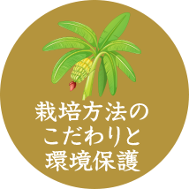 栽培方法のこだわりと環境保護