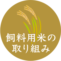 飼料用米の取り組み