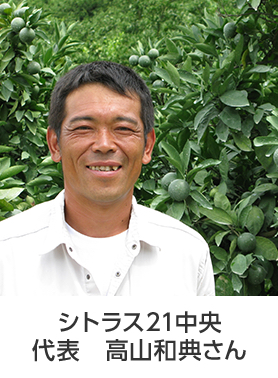 グリーン プログラム シトラス21のみかん 野菜 果物 ユーコープセレクション 生活協同組合ユーコープ グリーン プログラム シトラス21のみかん 野菜 果物 ユーコープセレクション 生活協同組合ユーコープ