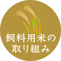 飼料用米の取り組み
