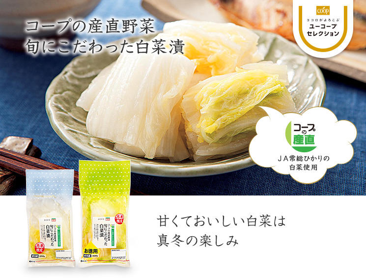 甘くておいしい白菜は真冬の楽しみ コープの産直野菜 旬にこだわった白菜漬 ＪＡ常総ひかりの白菜使用