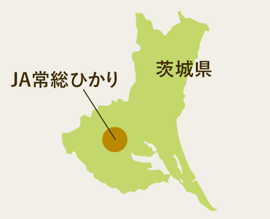 茨城県ＪＡ常総ひかり