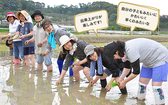 組合員の田植え写真。出来上がりが楽しみです!自分の子どもみたいにかわいい!早くのみたいな